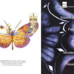 Efecto Mariposa 1999